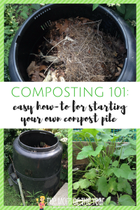 Composting 101: How to Start Your Own Compost Pile - The Mom of the Year