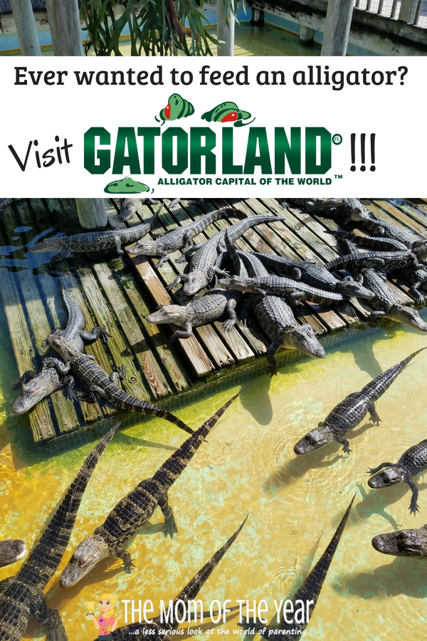 Not sure how to plan your first-time visit to Gatorland? The whole schoop you need, plus 10 super-smart tips here to help you make the most of your visit and enjoy the day! Tip #7 is genius--made our day go far more smoothly!