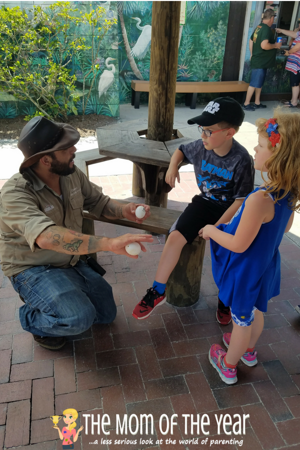 Not sure how to plan your first-time visit to Gatorland? The whole schoop you need, plus 10 super-smart tips here to help you make the most of your visit and enjoy the day! Tip #7 is genius--made our day go far more smoothly!