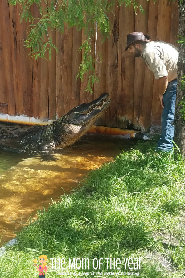 Not sure how to plan your first-time visit to Gatorland? The whole schoop you need, plus 10 super-smart tips here to help you make the most of your visit and enjoy the day! Tip #7 is genius--made our day go far more smoothly!