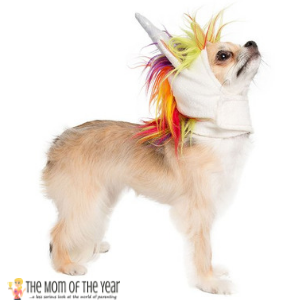 Pet Costumes to Win Halloween! - The Mom of the Year