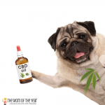 On the fence about CBD help? 2 surefire ways to know if it's right for you, PLUS, the 3 ways to use it that will change your life! Score!