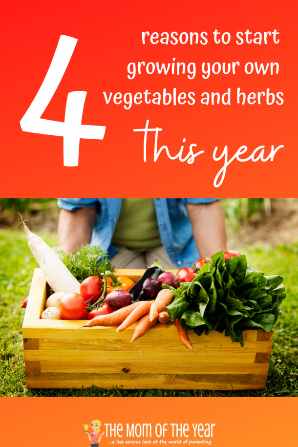 4 Reasons To Grow Your Own Vegetables And Herbs At Home The Mom Of