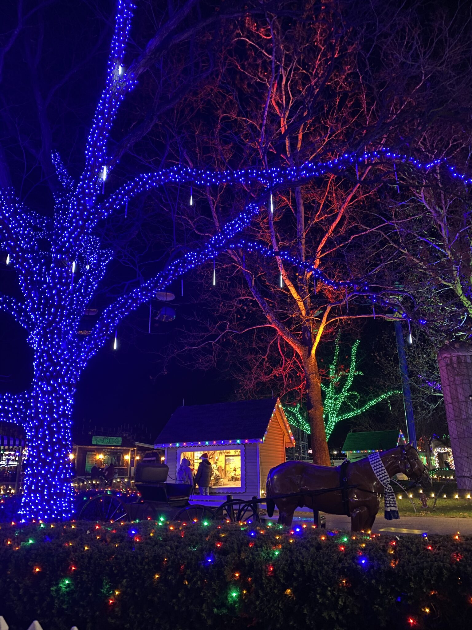 Tips for Visiting Dutch Winter Wonderland in December - The Mom of the Year